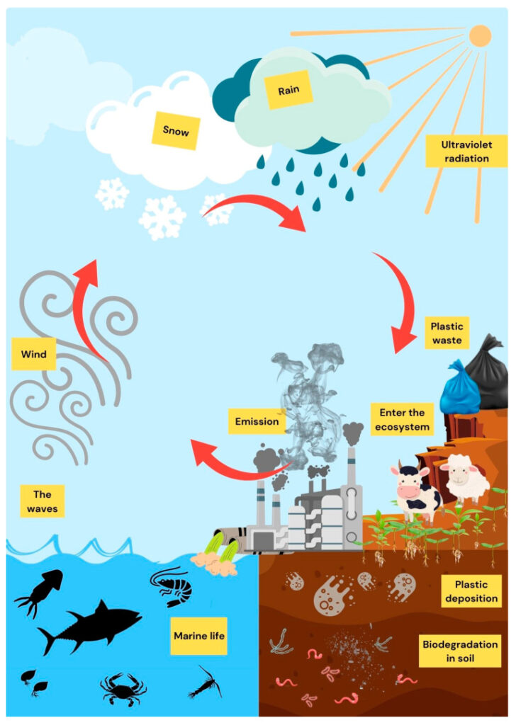 microplastic-oceans-marine-life-biodegradation